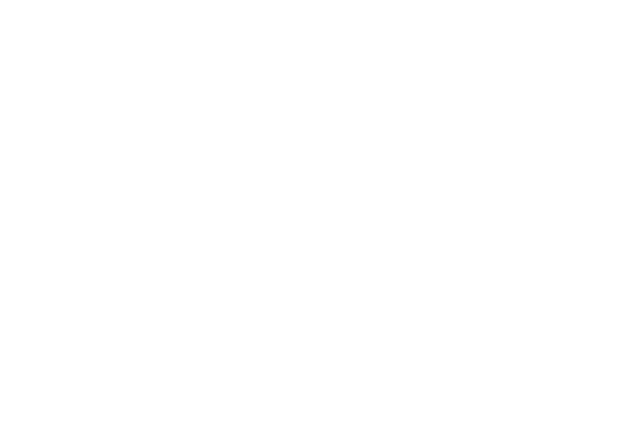 Conexão News